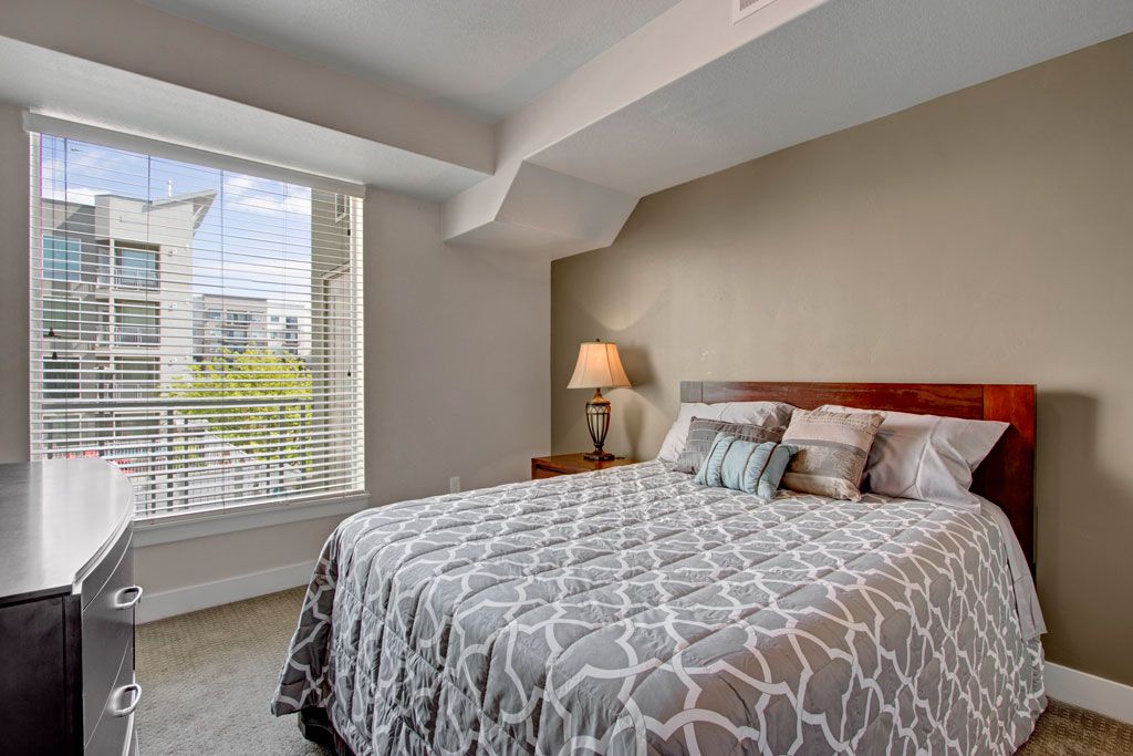 Velo On The Boulevard